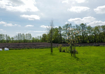 De Trije Roeden 6