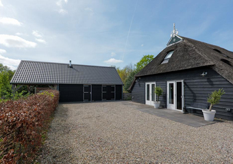 De Trije Roeden 6