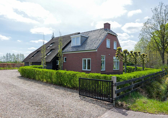 De Trije Roeden 6