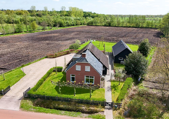 De Trije Roeden 6