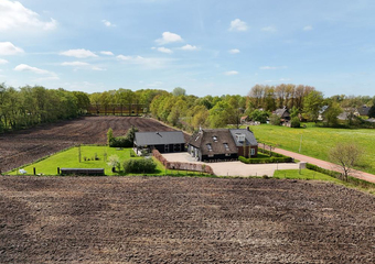 De Trije Roeden 6
